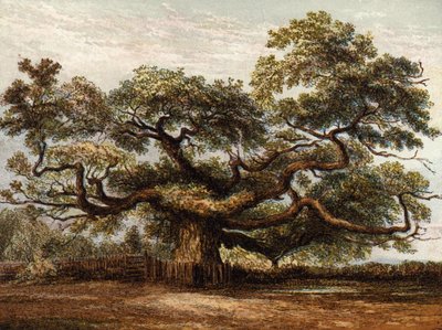 Crouch Oak, Addlestone by English School