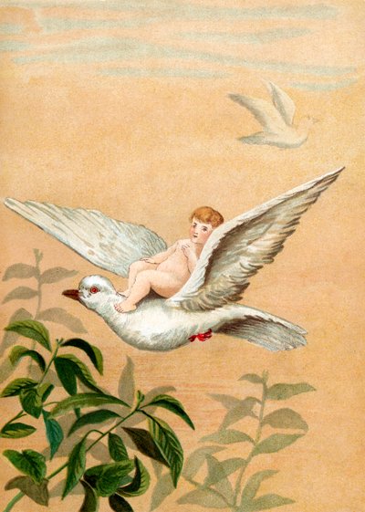 Fairy Riding a White Dove by English School
