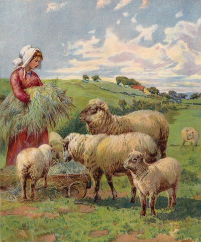 Girl feeding sheep by English School