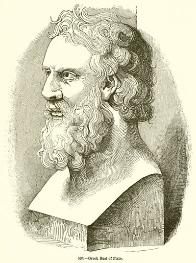 Greek Bust of Plato by English School