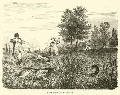 Hare-Shooting in France by English School