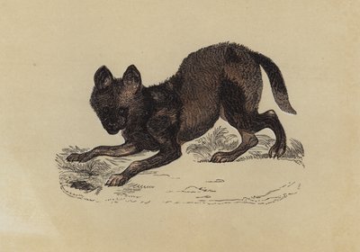 Hyena Dog by English School