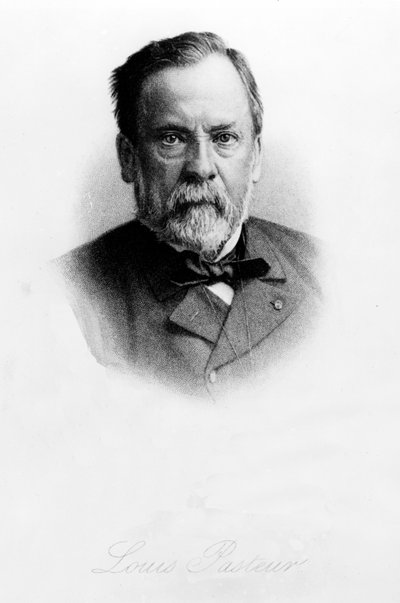 Louis Pasteur (1822-95) by English School