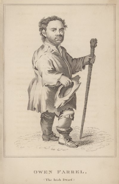 Owen Farrel, The Irish Dwarf by English School