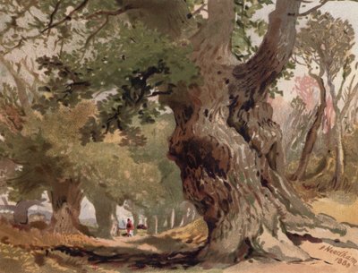 Scene in Sherwood Forest by English School