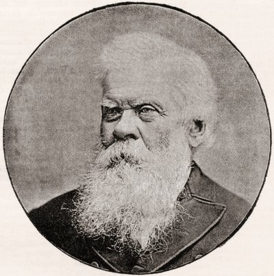 Sir Henry Parkes by English School