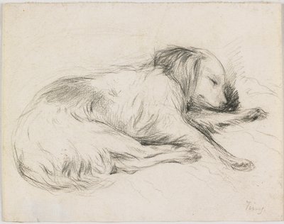 Sleeping Dog, c.1840 by English School