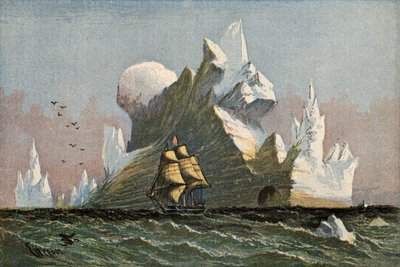 The Iceberg by English School