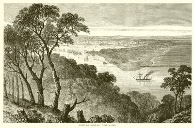 View of Durban, Port Natal by English School