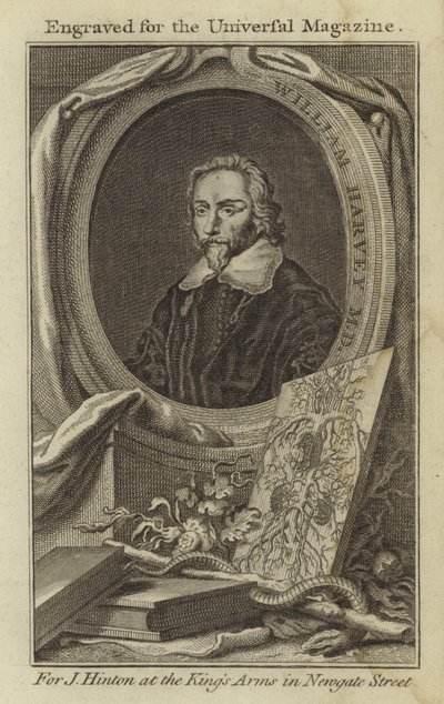 William Harvey MD by English School