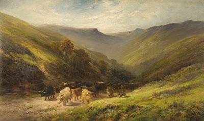 Highland Cattle by English School English School