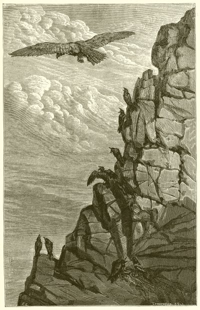 The Eagle and the Crow by Ernest Henry Griset