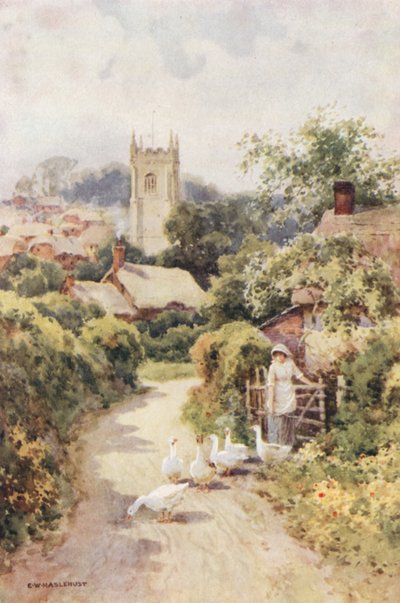 Bere Regis by Ernest William Haslehust