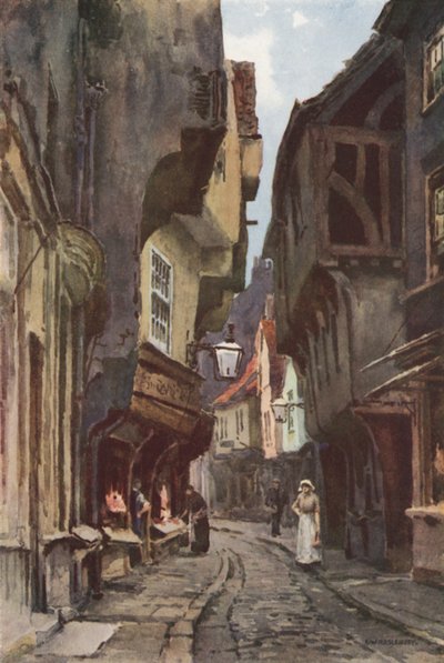 The Shambles by Ernest William Haslehust