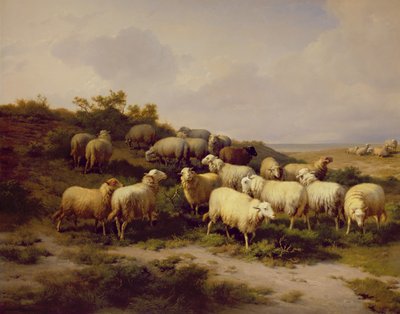 Sheep on the Coast, 1878 by Eugene Joseph Verboeckhoven