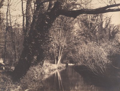 Parc de Courances by Eugène Cuvelier