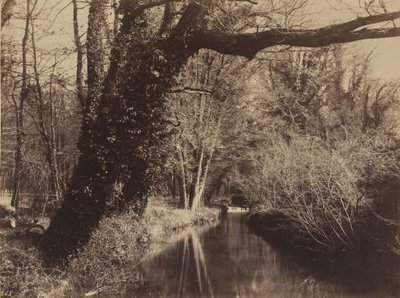 Parc de Courances, late 1850s by Eugène Cuvelier