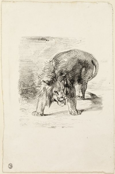 Standing Lion by Eugène Delacroix