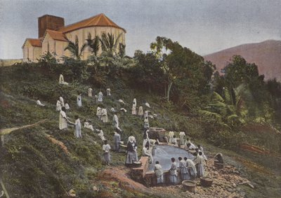 Caledonian Children at the Washhouse, Saint-Louis, Sisters by European Photographer