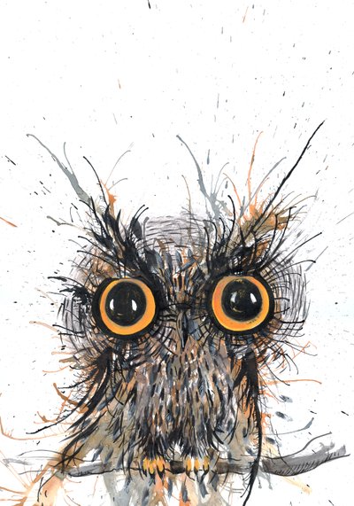 Wide Eyed Owl by Faisal Khouja