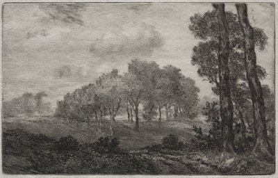 Landscape, after Français by Felix Bracquemond