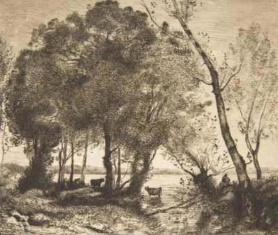 The Lake by Felix Bracquemond