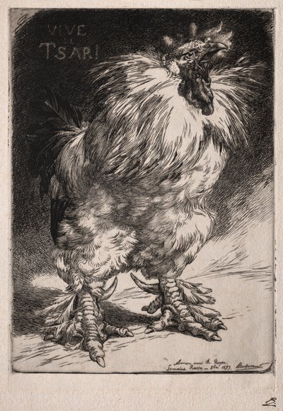 The French Cock by Felix Bracquemond