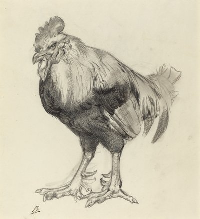 The Old Cock by Felix Bracquemond