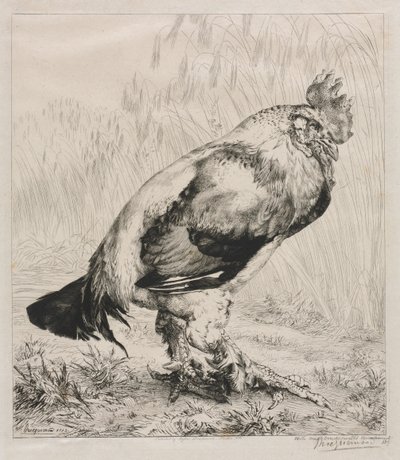 The Old Cock, 1882 by Felix Bracquemond