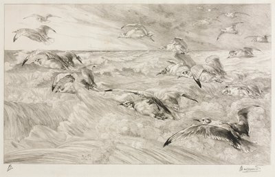 The Seagulls by Felix Bracquemond