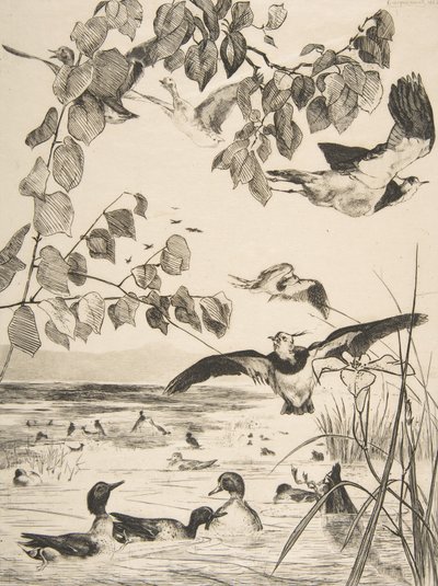 Lapwings and Teals by Felix Bracquemond