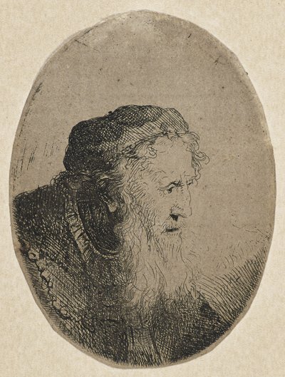 Untitled by Ferdinand Bol