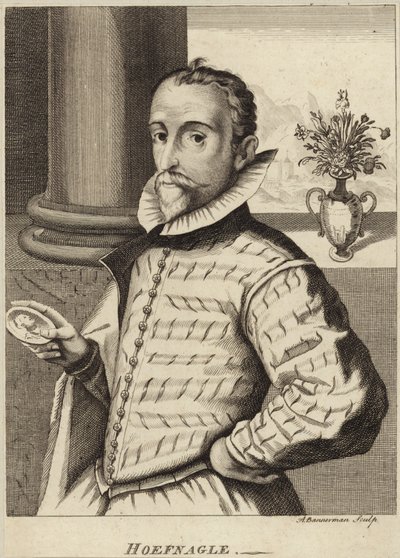 Portrait of Joris Hoefnagel by Flemish School