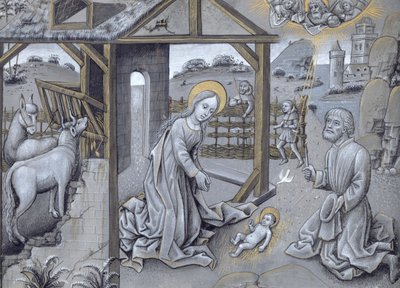 The Nativity by Flemish School