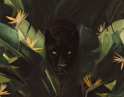 Hello Panther by Florent Bodart