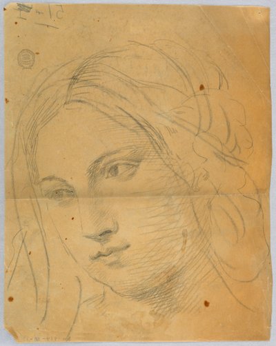 Sketch of Woman