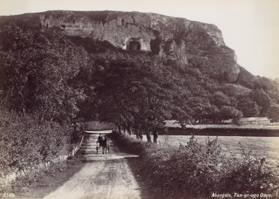 Abergele, Tan-yr-ogo Cave, 1870s by Francis Bedford