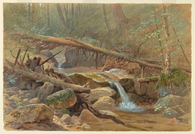 Pool in the Woods by Francis Hopkinson Smith