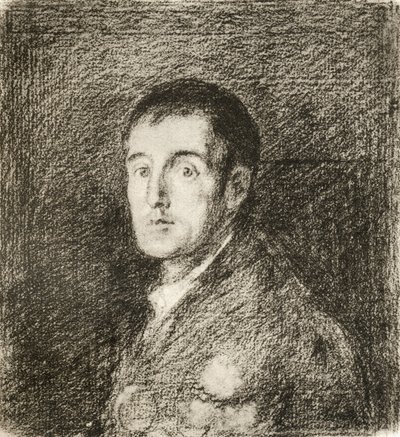 Arthur Wellesley by Francisco (after) Goya y Lucientes