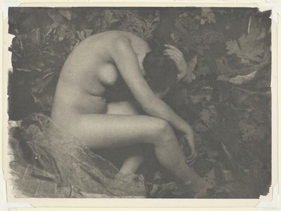The Cicada by Frank Eugene