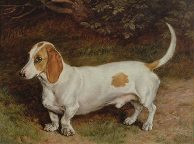 My Favourite Dachshund by Frank Paton