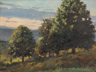 Landscape by Frank Von der Lancken