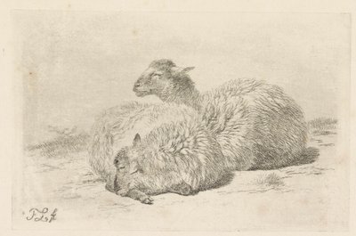 Two lying sheep by Frans Lebret