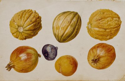 Fruit Studies by Franz Horny