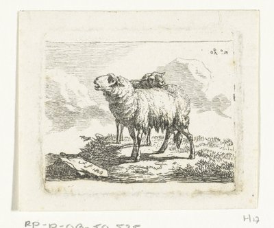 Two Standing Sheep by Frédéric Théodore Faber