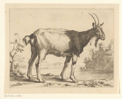 Goat by Frederick Bloemaert