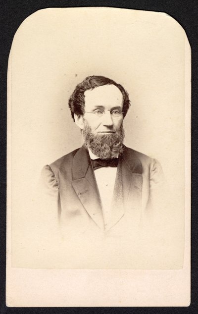 Portrait of Unidentified Man, Circa 1860s by Frederick Gutekunst