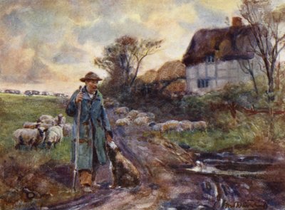 Beggarly Broom by Frederick William Newton Whitehead