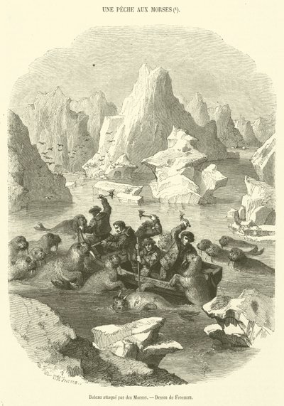 Boat Attacked by Walruses (engraving) by French School