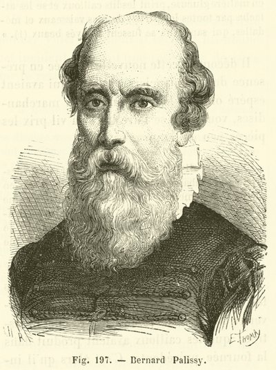 Bernard Palissy (engraving) by French School